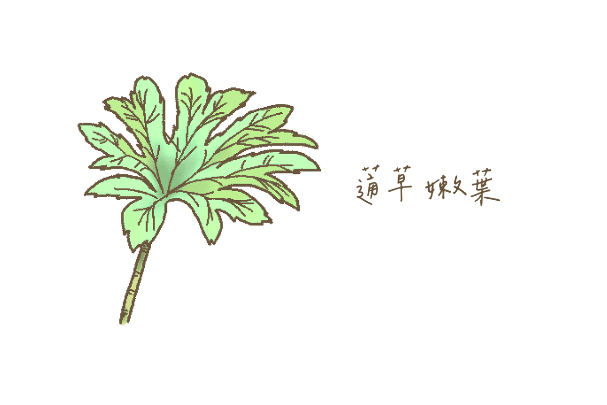 黃褐色的星狀絨毛會長在嫩葉的兩面