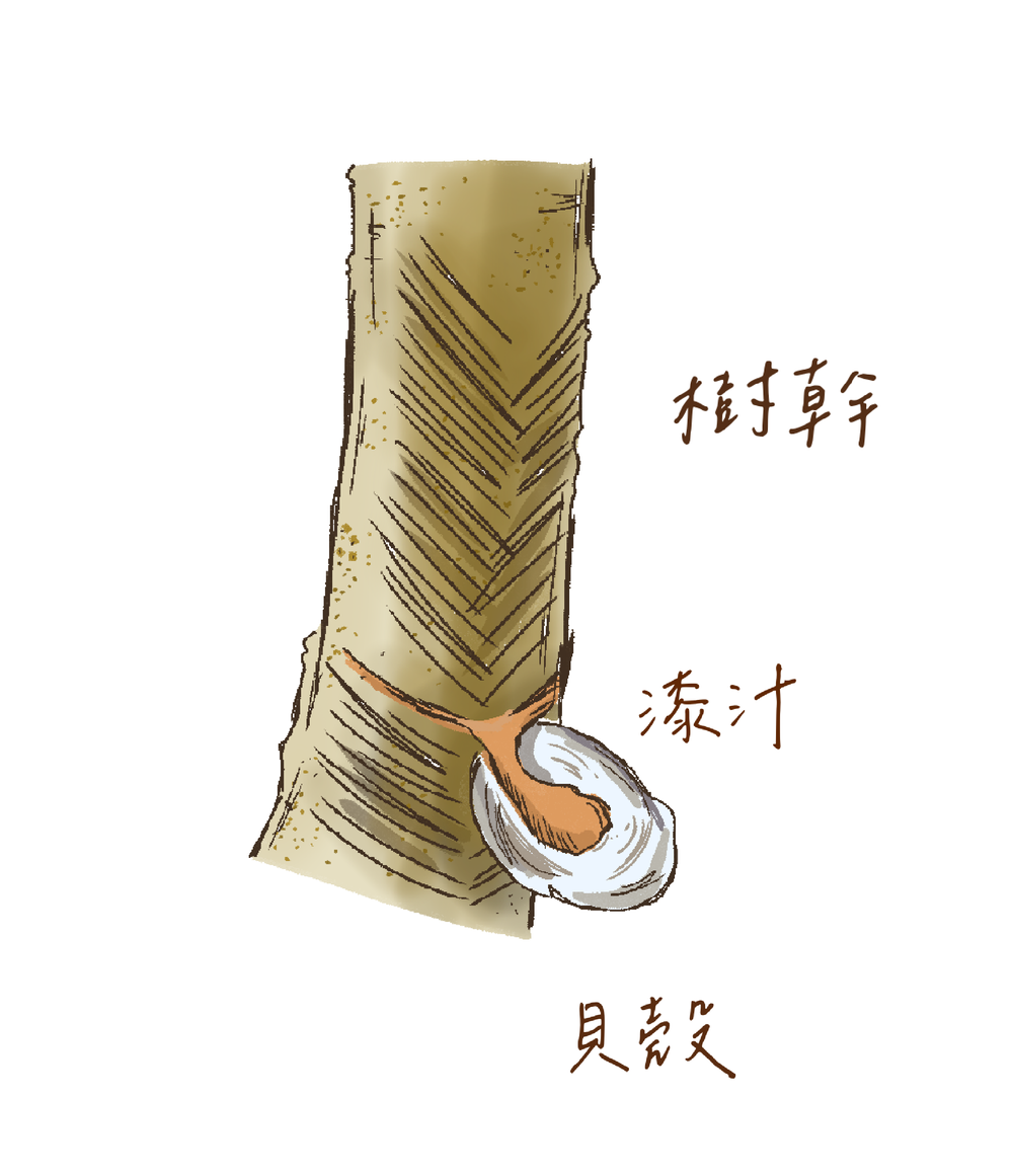 〈木部〉漆樹 —— 珍貴的200毫升，人工採收的高價資源