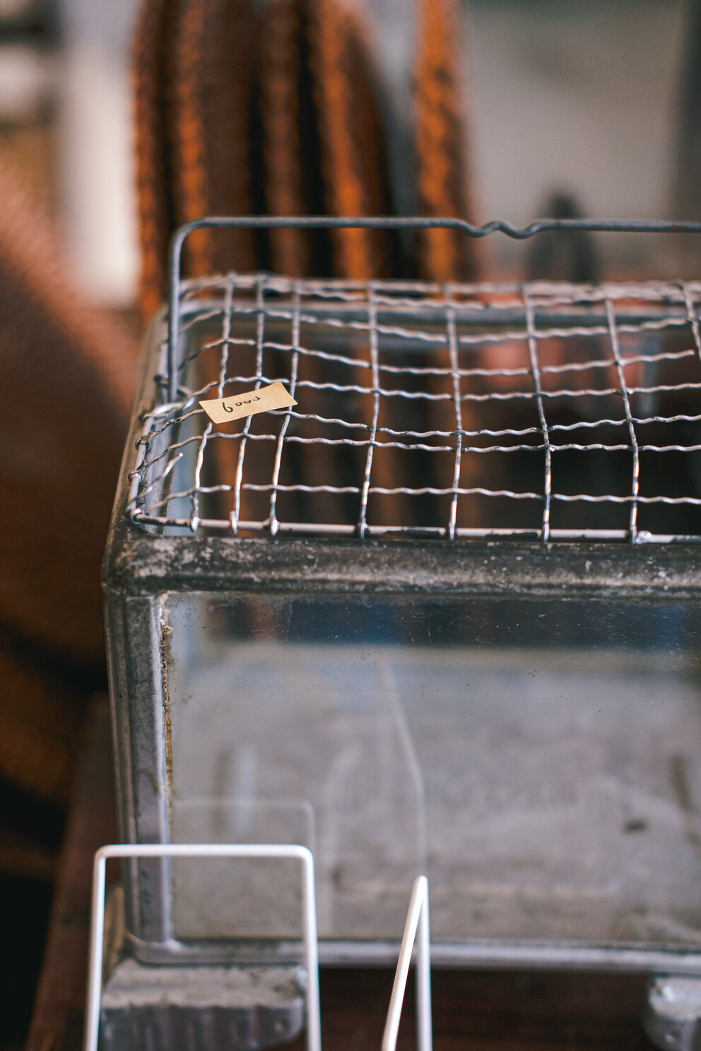 一家讓你愛上司康、古物與美好生活畫面的〈木溪MERCIKTN〉。 [選品店]