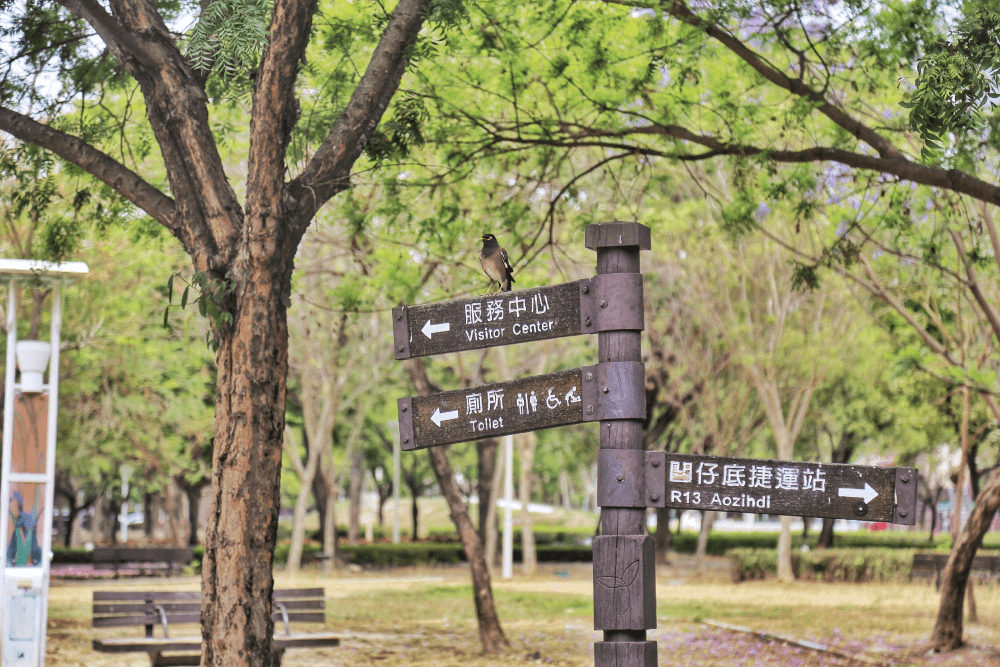 《一日雙城單車路線》早上舊城出發,中午灣子內休息,下午抵達新城 - 第9張圖