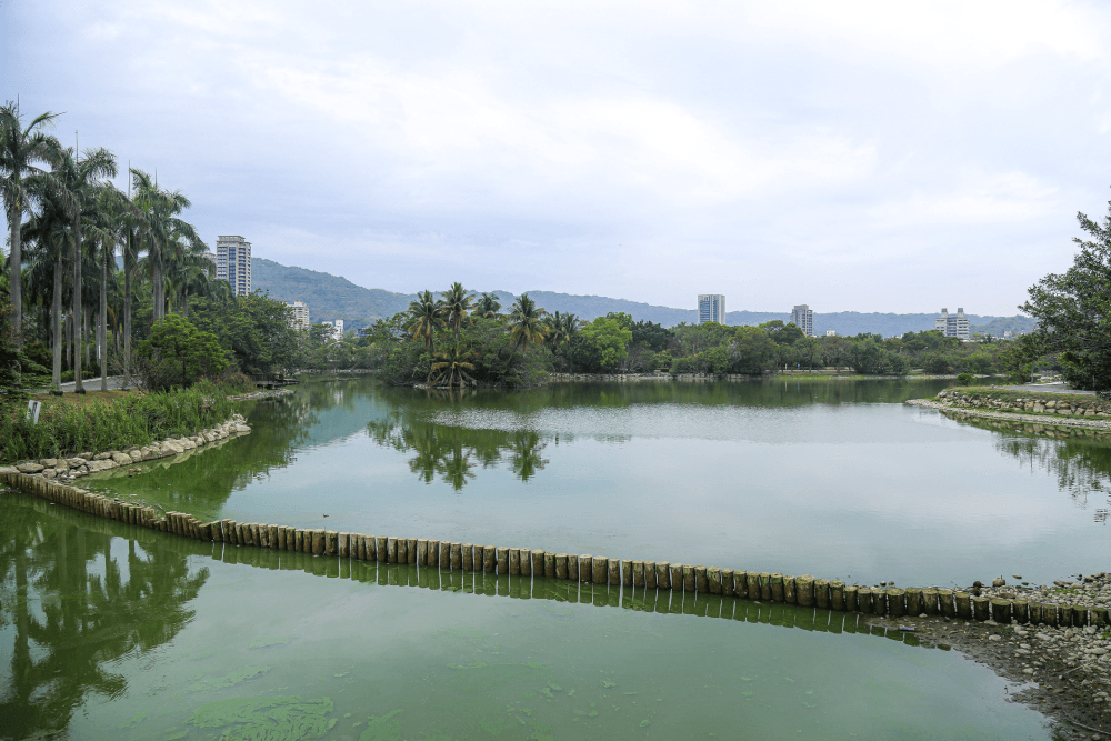 高雄・高雄市立美術館 » 盡情享受群山、湖泊、藝術及咖啡的城市美術館! - 第3張圖